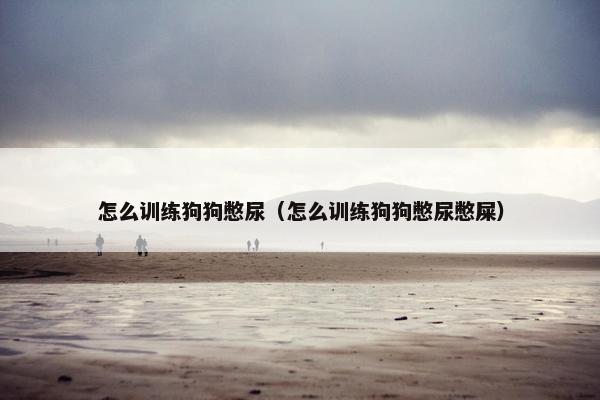 怎么训练狗狗憋尿（怎么训练狗狗憋尿憋屎）