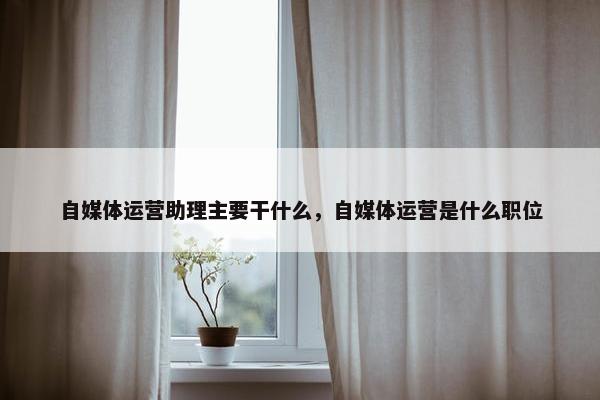 自媒体运营助理主要干什么，自媒体运营是什么职位