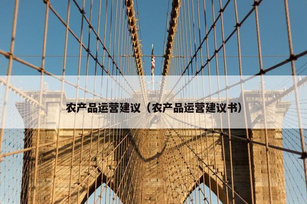 农产品运营建议（农产品运营建议书）