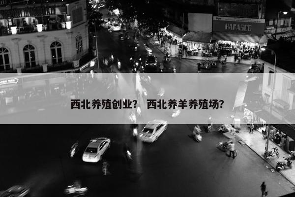 西北养殖创业？ 西北养羊养殖场？