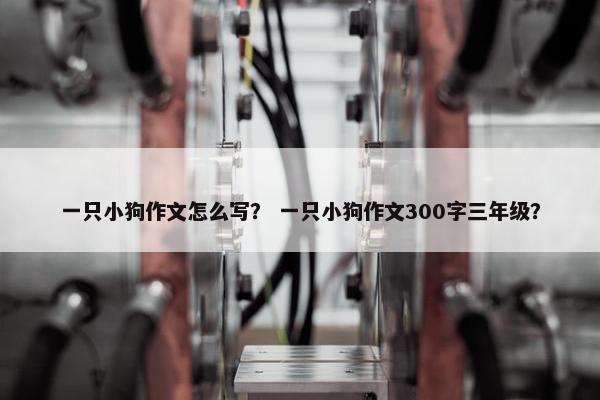 一只小狗作文怎么写？ 一只小狗作文300字三年级？