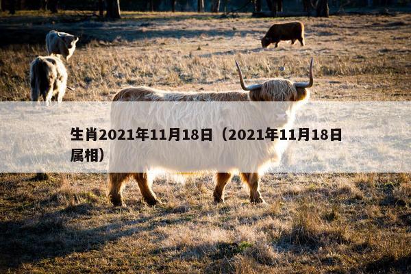 生肖2021年11月18日（2021年11月18日属相）