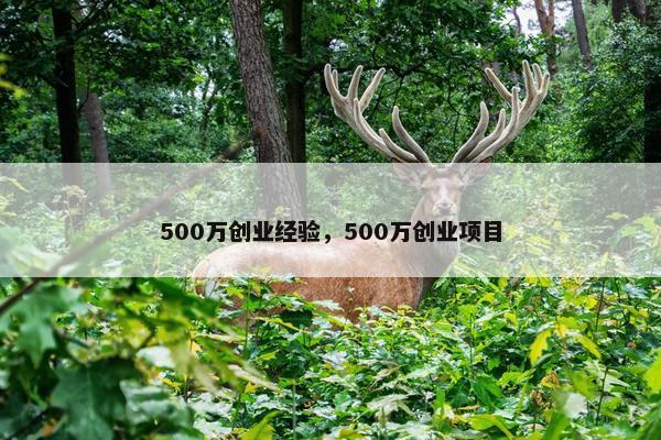 500万创业经验，500万创业项目
