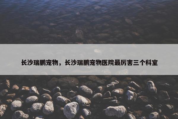 长沙瑞鹏宠物,长沙瑞鹏宠物医院最厉害三个科室