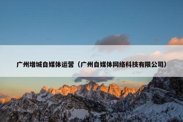 广州增城自媒体运营(广州自媒体网络科技有限公司)