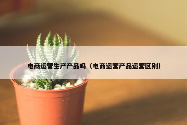 电商运营生产产品吗(电商运营产品运营区别)
